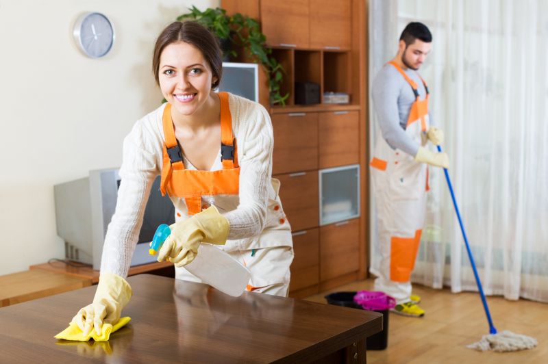 Basement Cleaning Service in Renton, WA