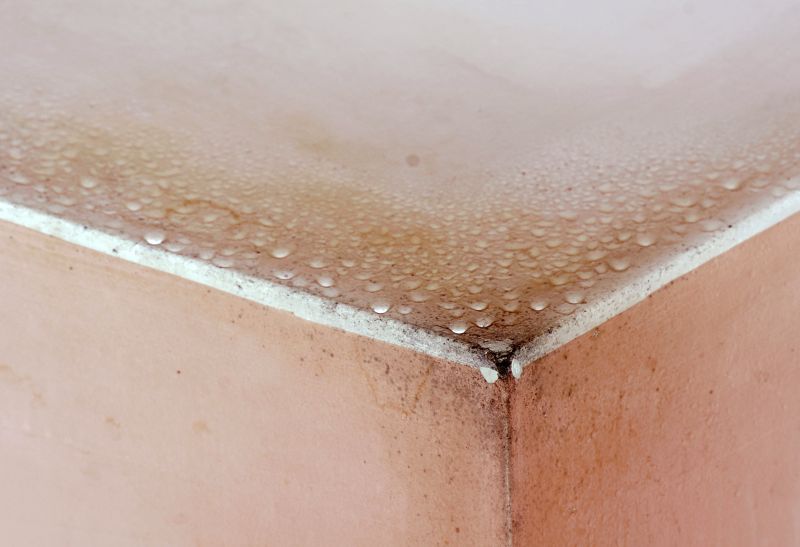 Basement Mold Removal in Fort Lauderdale, FL