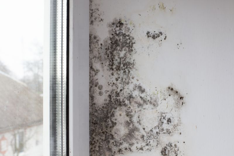 Basement Mold Removal in Fort Lauderdale, FL