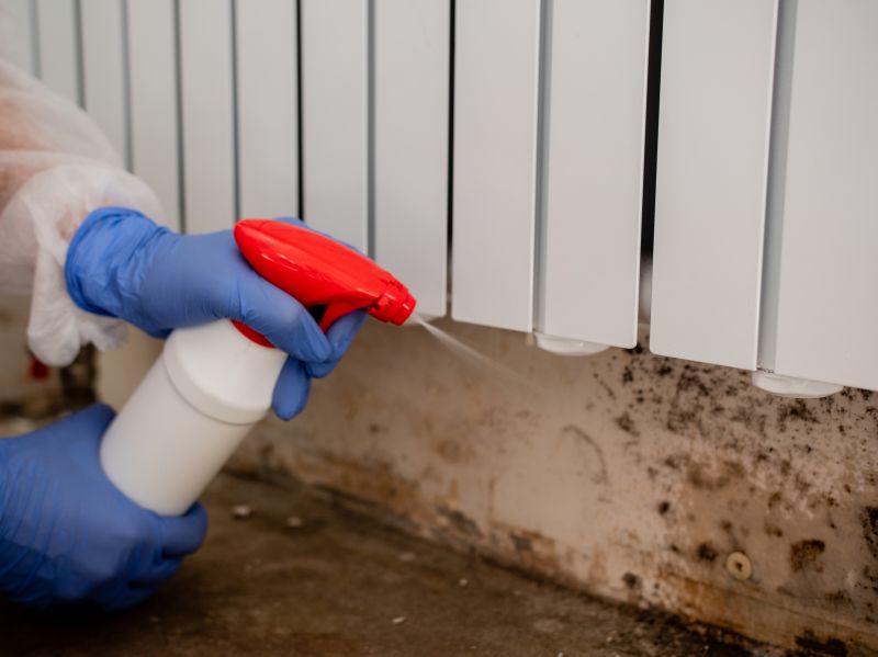 Black Mold Remediation in Fort Worth, TX