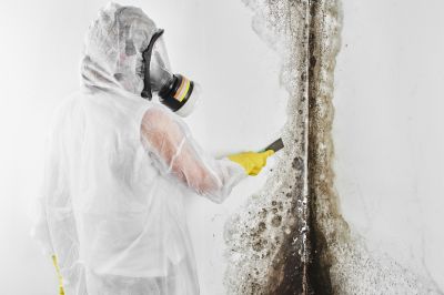 Black Mold Removal in Denton, TX