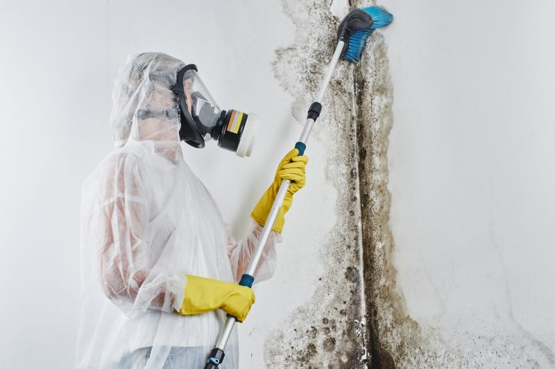 Ceiling Mold Removal in Fort Worth, TX