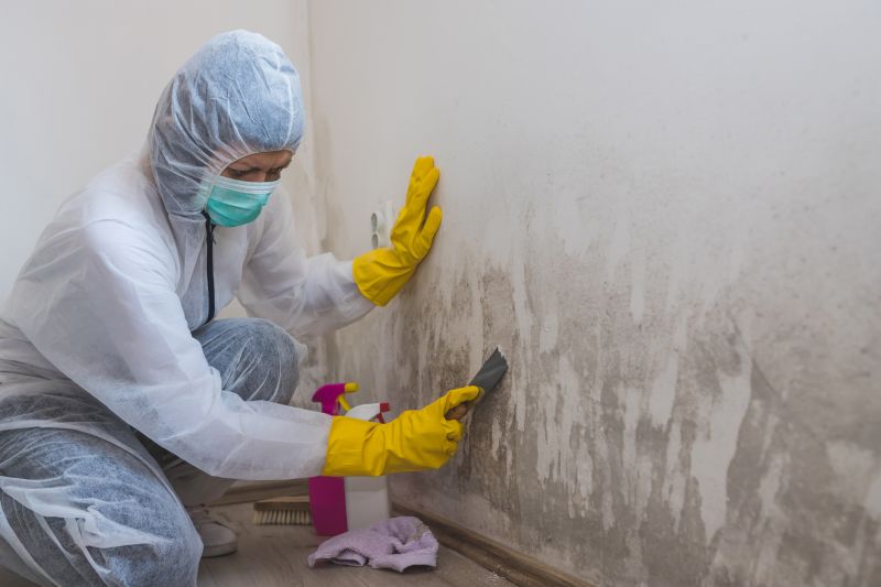 Crawl Space Mold Removal in Dallas, TX