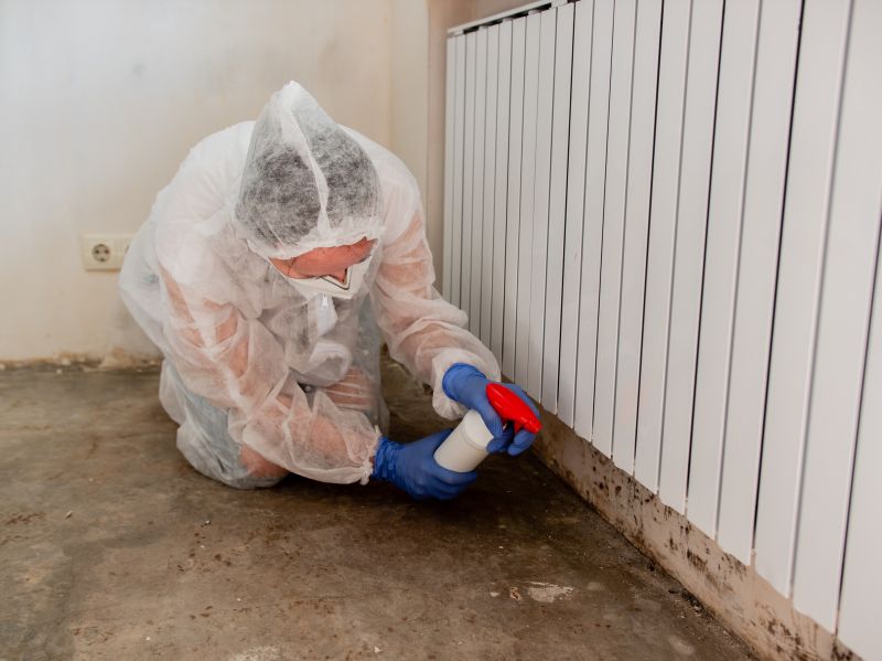 Crawl Space Mold Removal in Dallas, TX