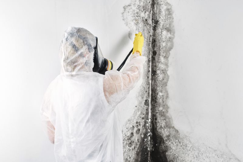 Garage Mold Remediation in Frisco, TX