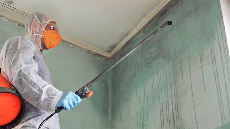 Mold Abatement Service in Dallas, TX