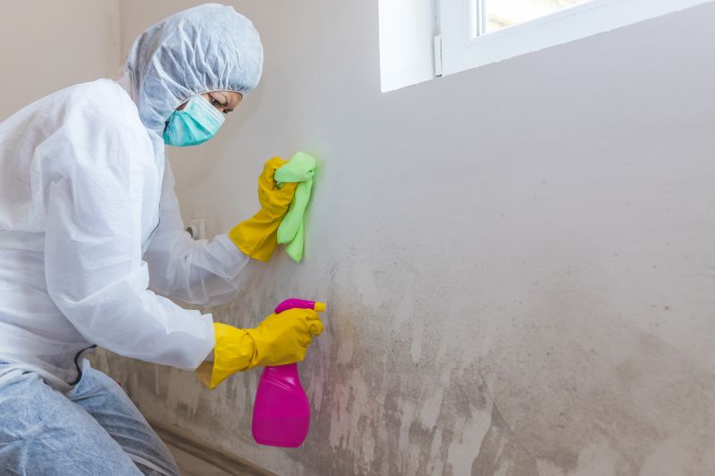 Mold Cleanup Service in Essex County, NJ