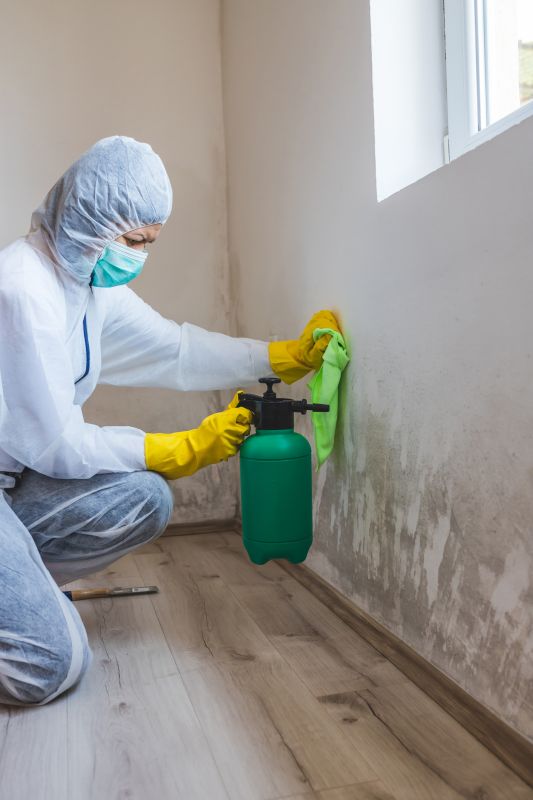 Mold Remediation Service in Frisco, TX