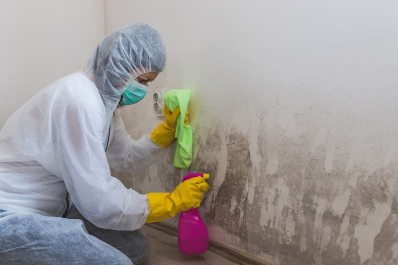 Mold Removal in Frisco, TX