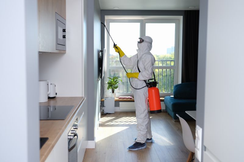 Mold Removal in Essex County, NJ