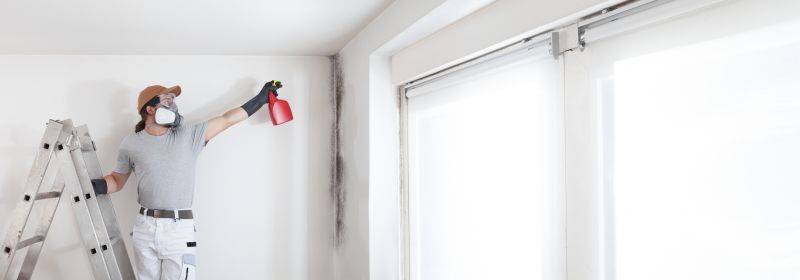 Mold Removal in Fort Lauderdale, FL