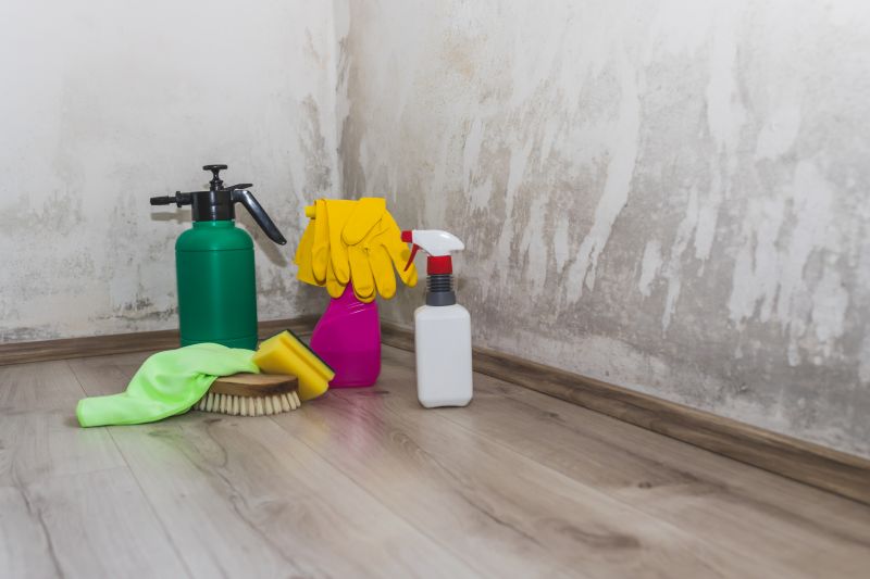 Attic Mold Remediation in West Palm Beach, FL