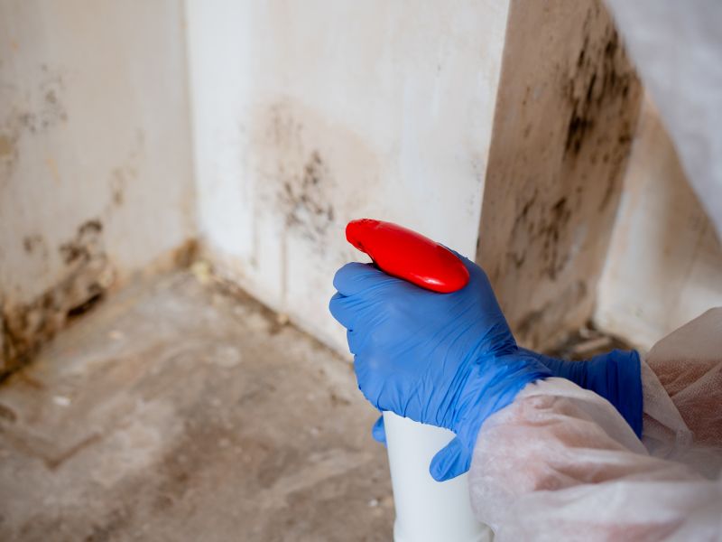 Basement Mold Remediation in Broward County, FL