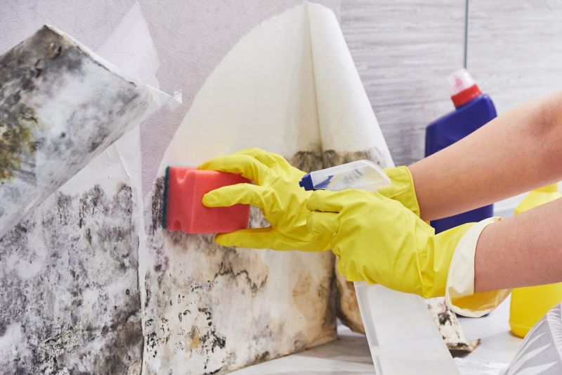Black Mold Remediation in Broward County, FL