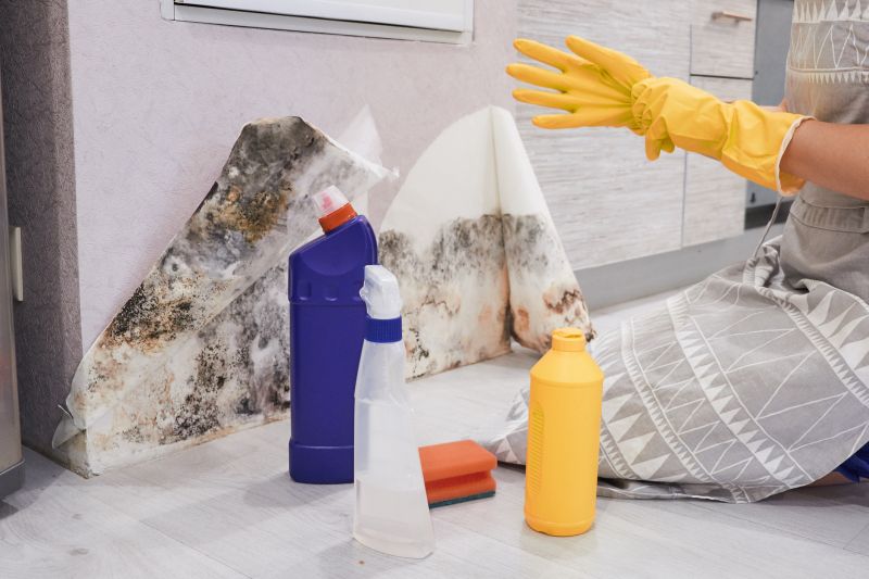 Black Mold Remediation in Frisco, TX