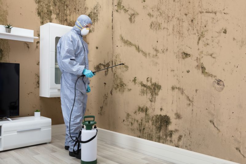 Black Mold Removal in Pompano Beach, FL