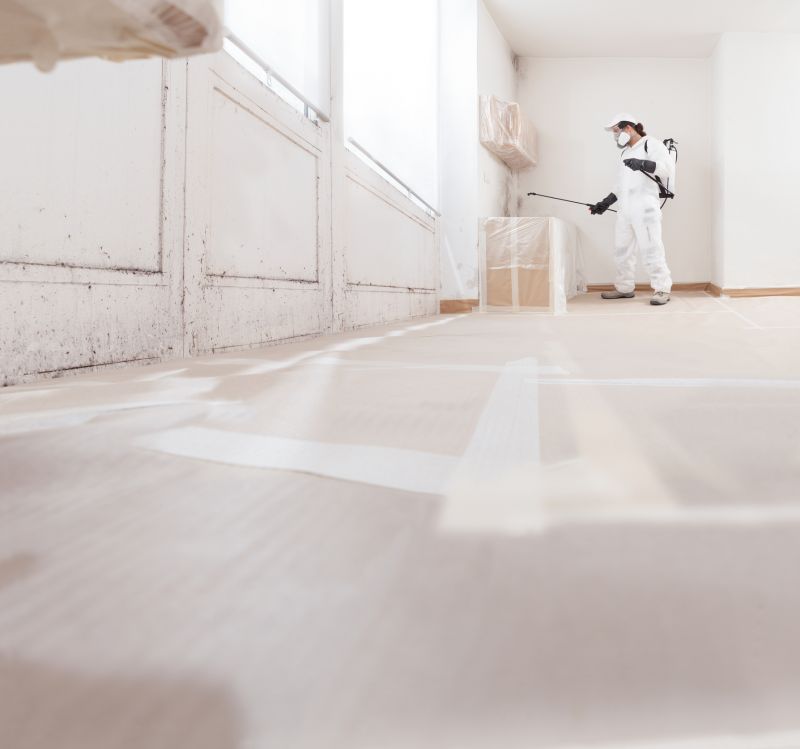 Mold Cleanup Service in Essex County, NJ