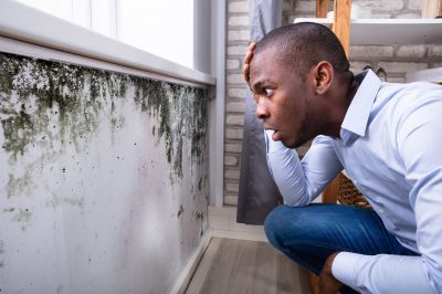 Mold Control in Plano, TX