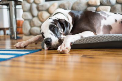 Keep Your Floors Looking Their Best For Years To Come