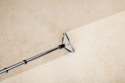 Eliminate Bacteria, Fungi, and Viruses from Your Carpet!