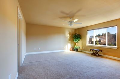 Enjoy a Cleaner, Healthier, and More Visually Appealing Space!