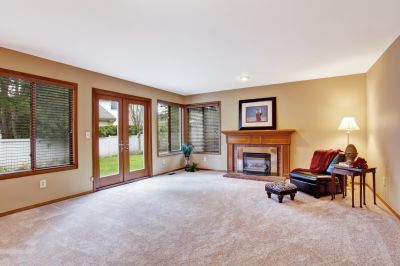 Remove Pet Urine and Dander From Your Carpet!