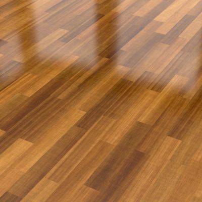Wood Floor Buffing