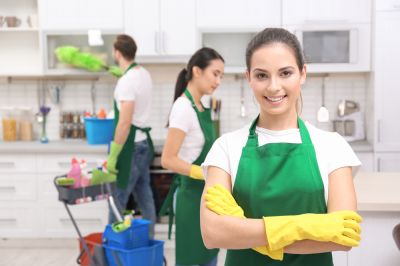 Professional House Cleaning